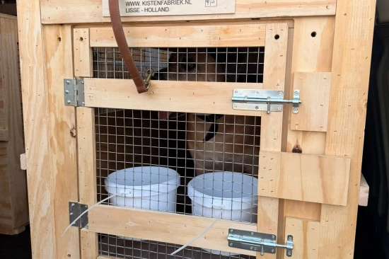 Huisdieren Transport