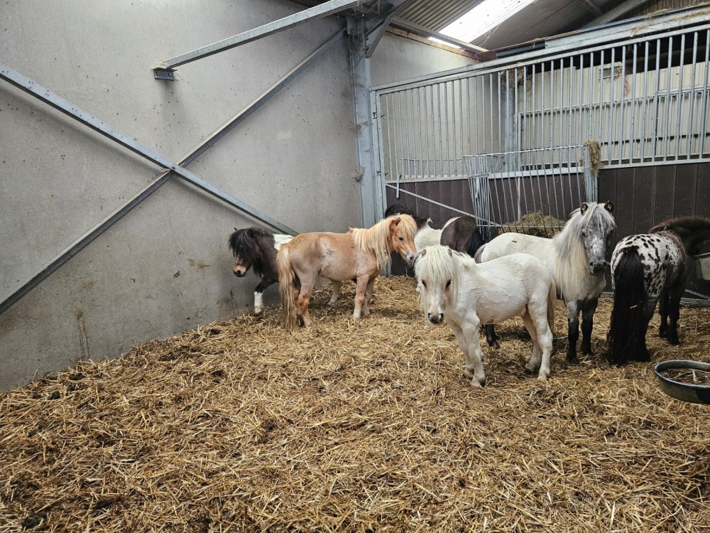 Dieren in quarantaine